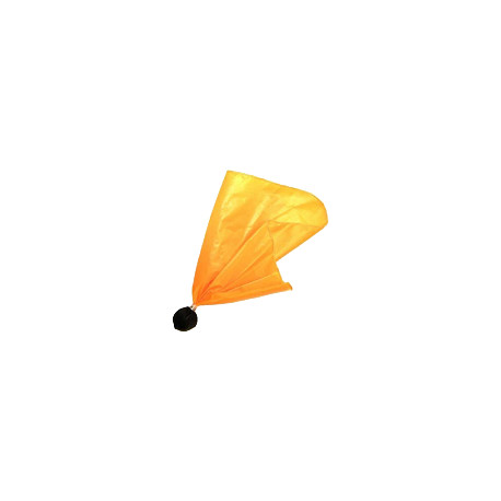flag arbitre football américain flag arbitre football américain