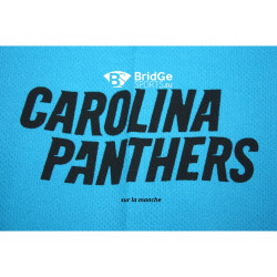 MAILLOT SUPPORTER  Panthers N°1