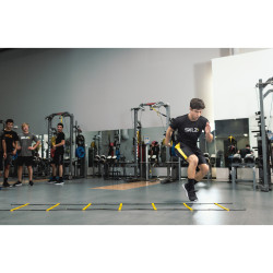 SKLZ QUICK LADDER