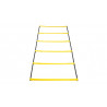 SKLZ ELEVATION LADDER