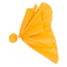 flag arbitre football américain