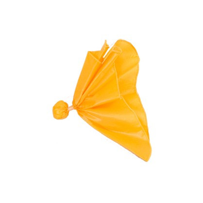 flags referees