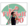 FLYBALL 500